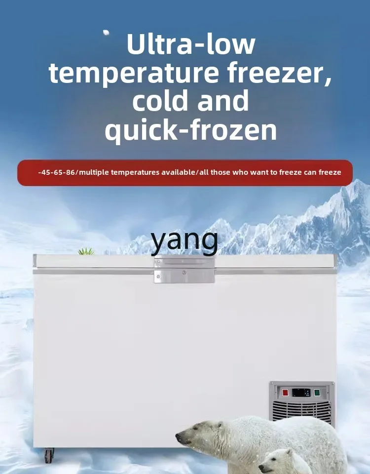 LMM minus 45 degrees 60 degrees 80 tuna seafood commercial laboratory quick-freezing freezer