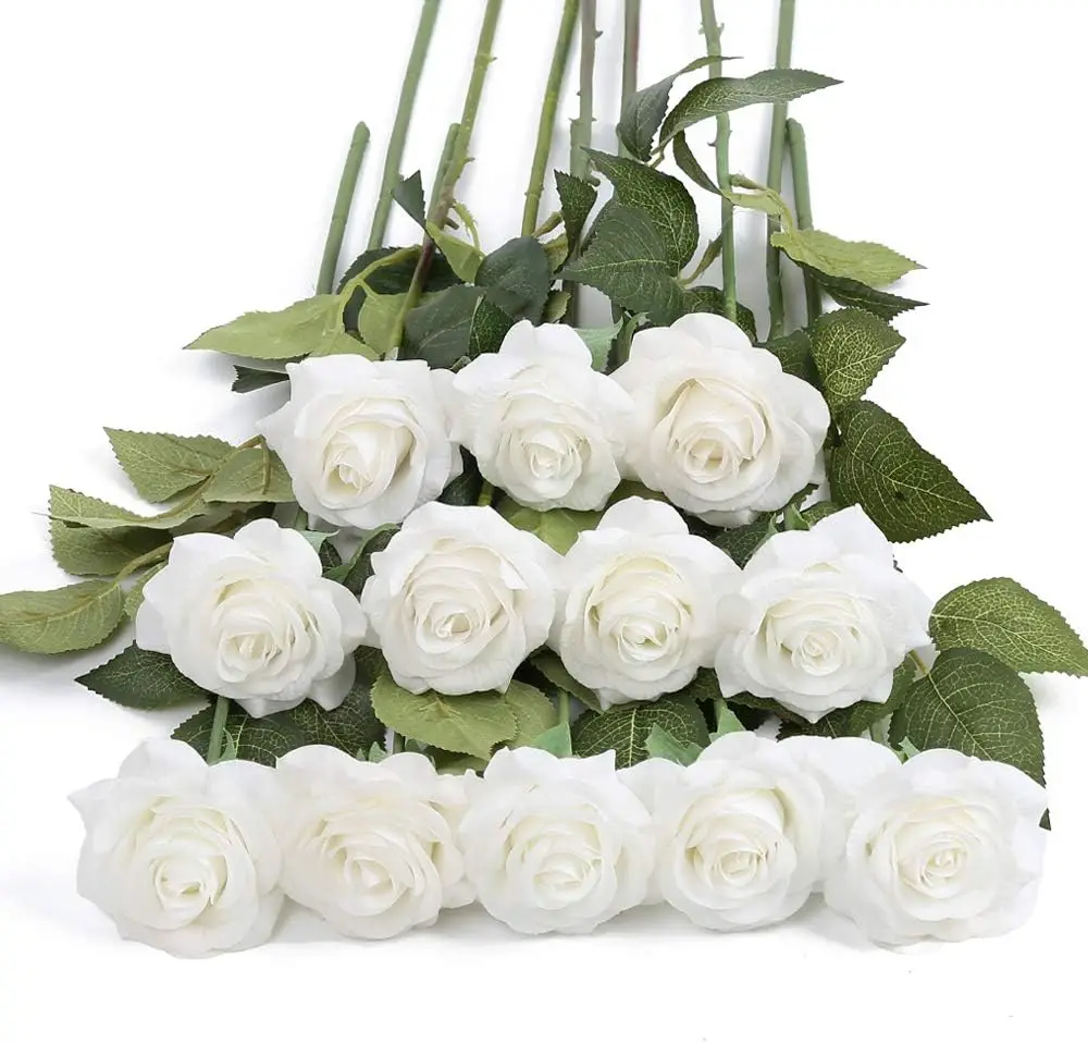 10pcs-white