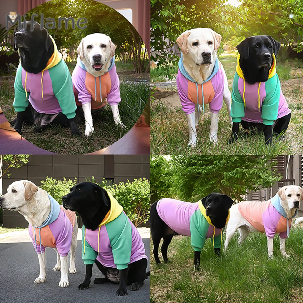 

Miflame Ins Style Small Medium Dog Pullover Candy Color Dog Hoodie Border Terrier Color Matching Sweater Pet Hoodie Plush Fleece