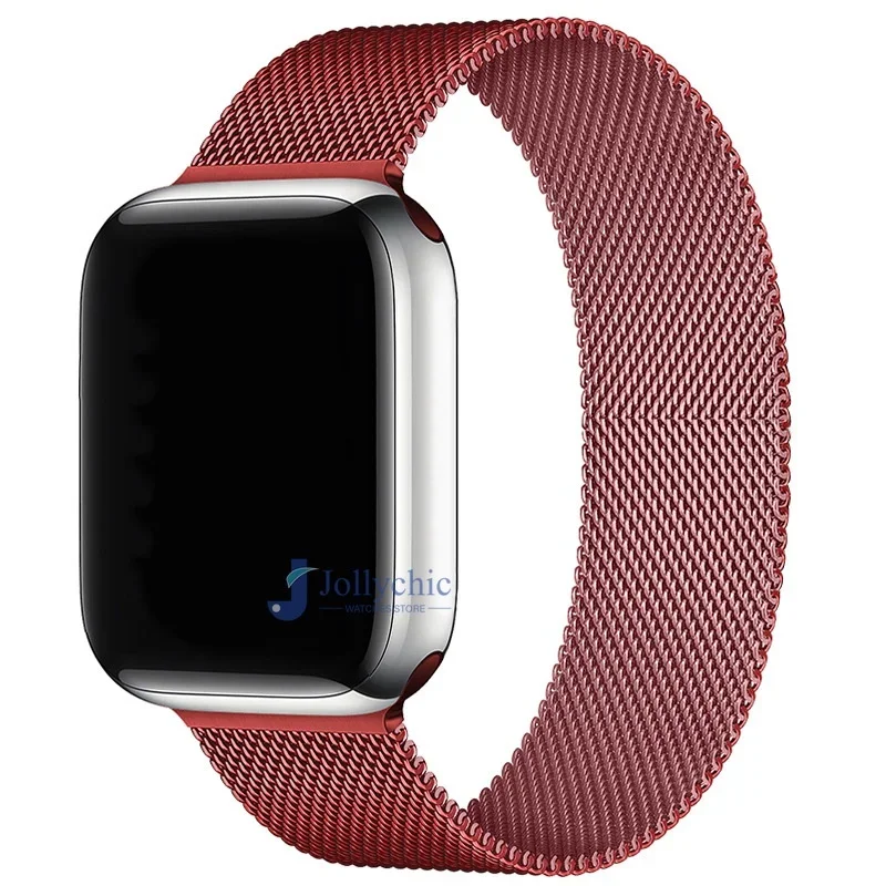 Magnetic Stainless Steel Loop Strap