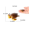 Sea Turtle C