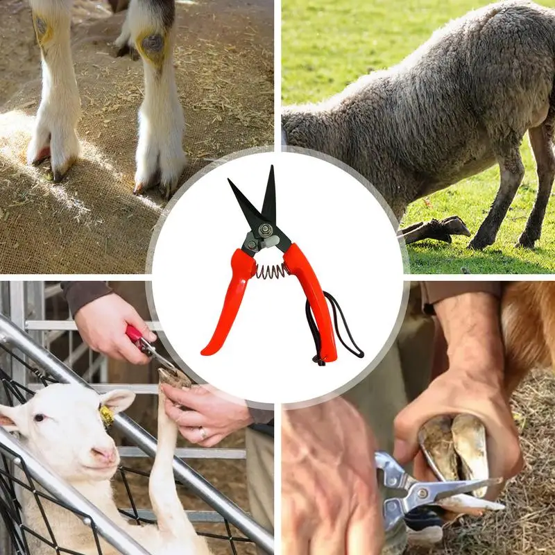 Hoof Trimmers For Goats And Sheep Horse Clippers Spring-Loaded Ergonomic Hoof Trimmers Precision Trimming Shears Stainless Steel