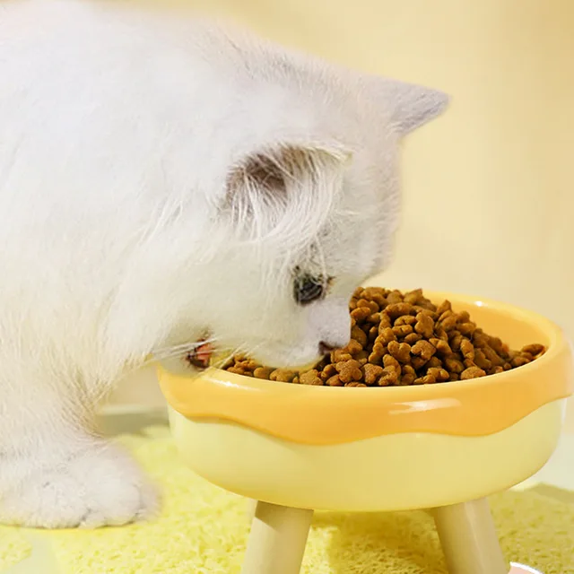 Macaron Color Cat Bowls - 4-Legged Elevated Pet Dishes, Cat Food Plates, Pet Feeding Supplies 2