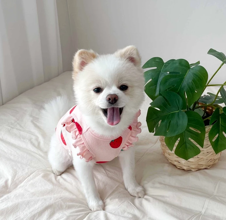 Sa3293832a42043a78296e4a9b58565cf9