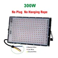 300W No Plug