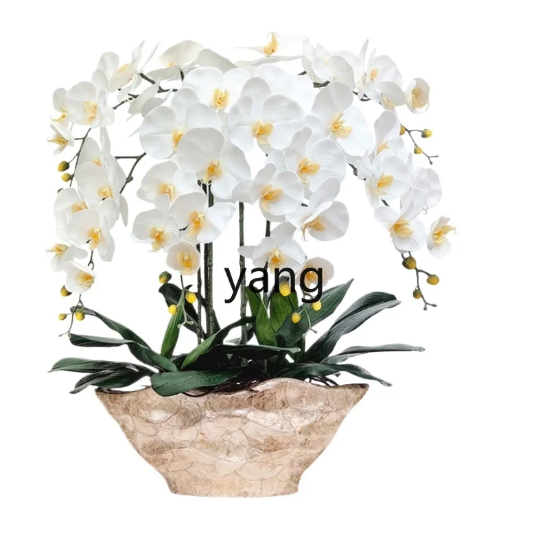 

Yjq Hand Feel Real Simulation Phalaenopsis Suit Plastic Flower Entrance Living Room Interior Decoration Large Pot