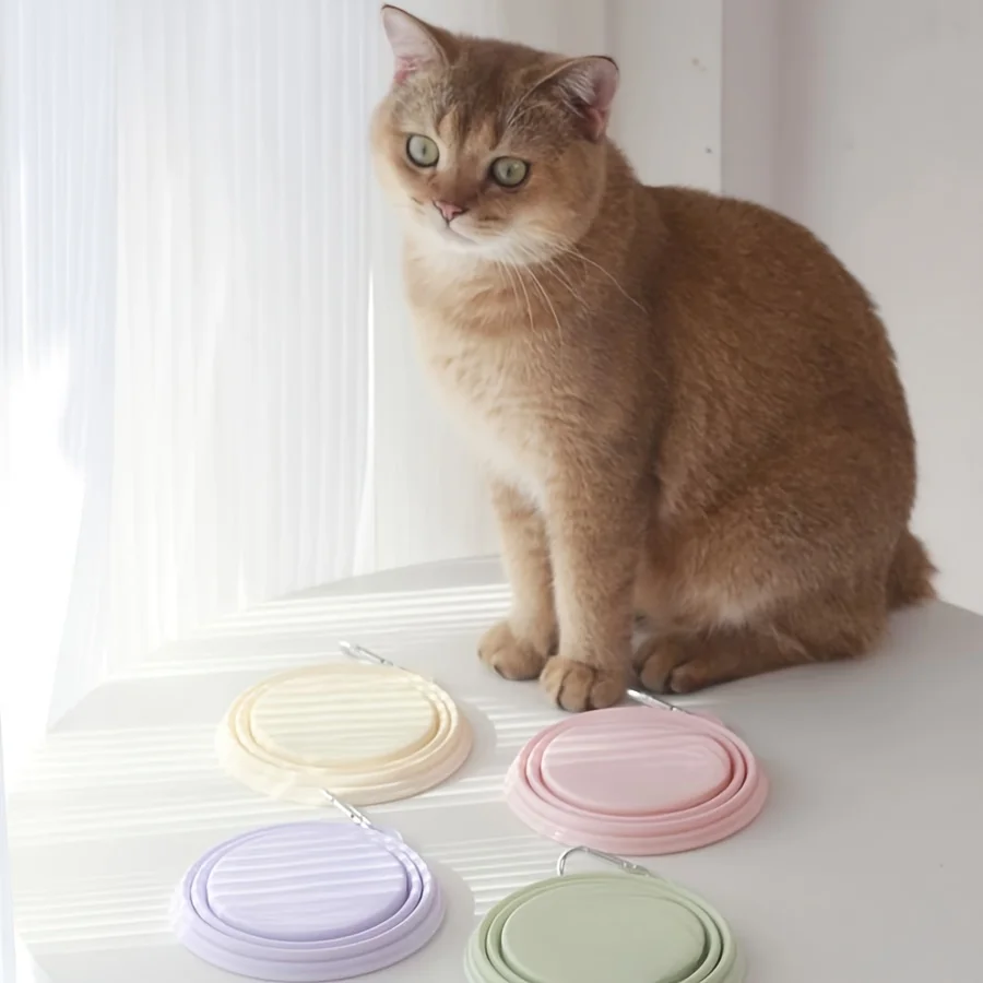 350ml Macaron Pet Bowl, Portable Foldable Silicone Cat/Dog Bowl for Outdoor Travel, Hanging Feeding & Water Bowl