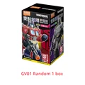 GV01 Random 1box