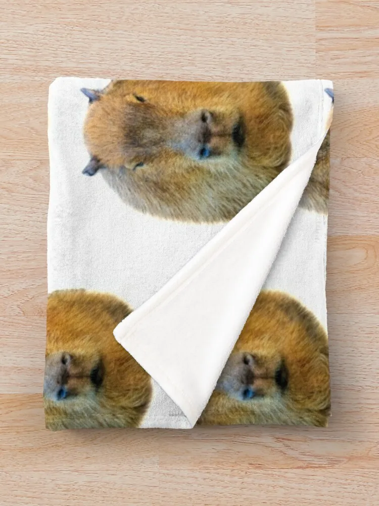 Capybara �Ӹ� ������ ���, ķ�� ���� �غ� ���