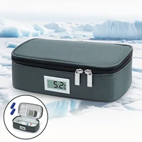Réfrigération à l'insuline Petit réfrigérateur Réfrigérateur à médicaments pratique avec 2 packs de glace Affichage de la température LED Voyage en plein air 1