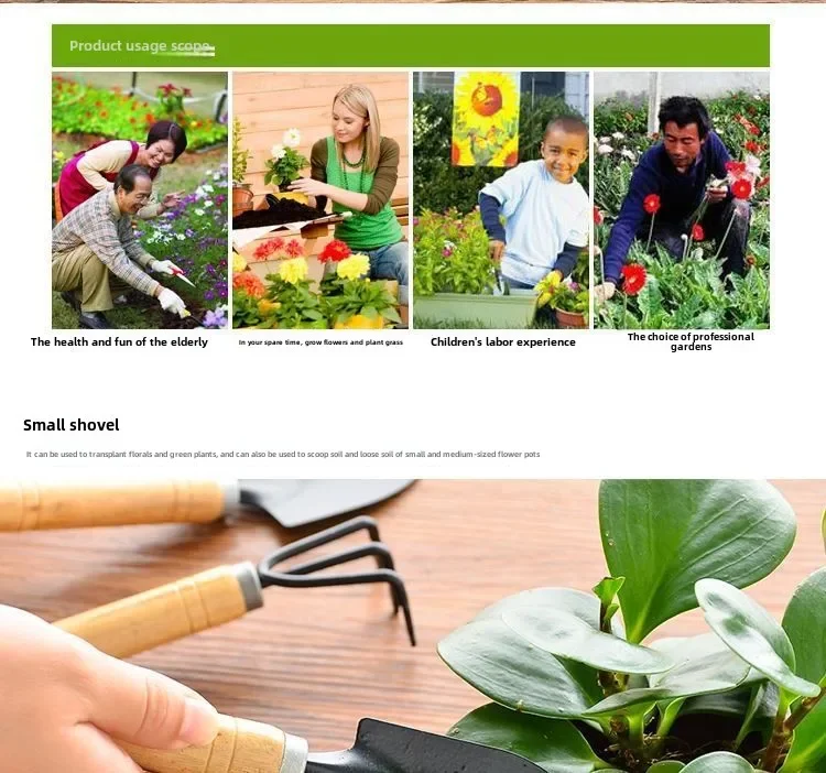 Description Picture 6 of item3pcs Mini Horticultural Tools for Gardening Potted Plants Wooden Handle Agricultural Tools Shovel Rake Flower Planting Tools