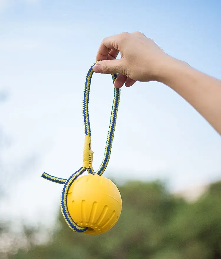 Dog Toy Dog Toy Training Ring Puller Puppy Flying Disk Chewing Toys Outdoor Interactive Toy Dog Game Playing Pet Supplies