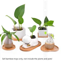 14 Style Round Square Flower Pots Planter Bamboo Tray Wood Holder Home Decor Gardening Supply Anti-Fade Simple Elegant Design 5