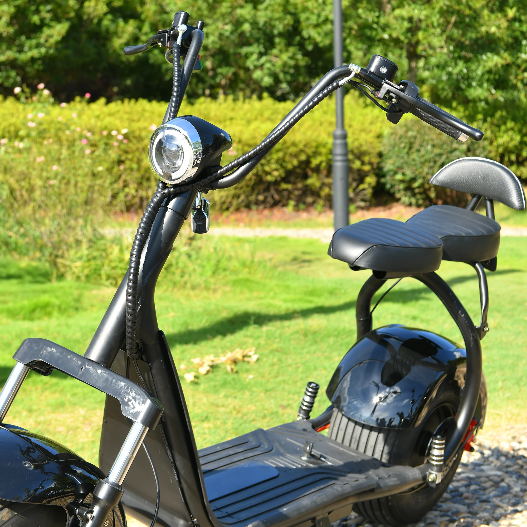 Рисунок 2 - Скутер Citycoco, 60 в 20 Ач, 3000