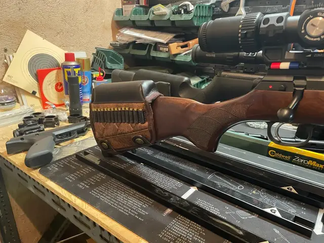 Boîte De Munitions En Mousse EVA - En Plastique Transparent