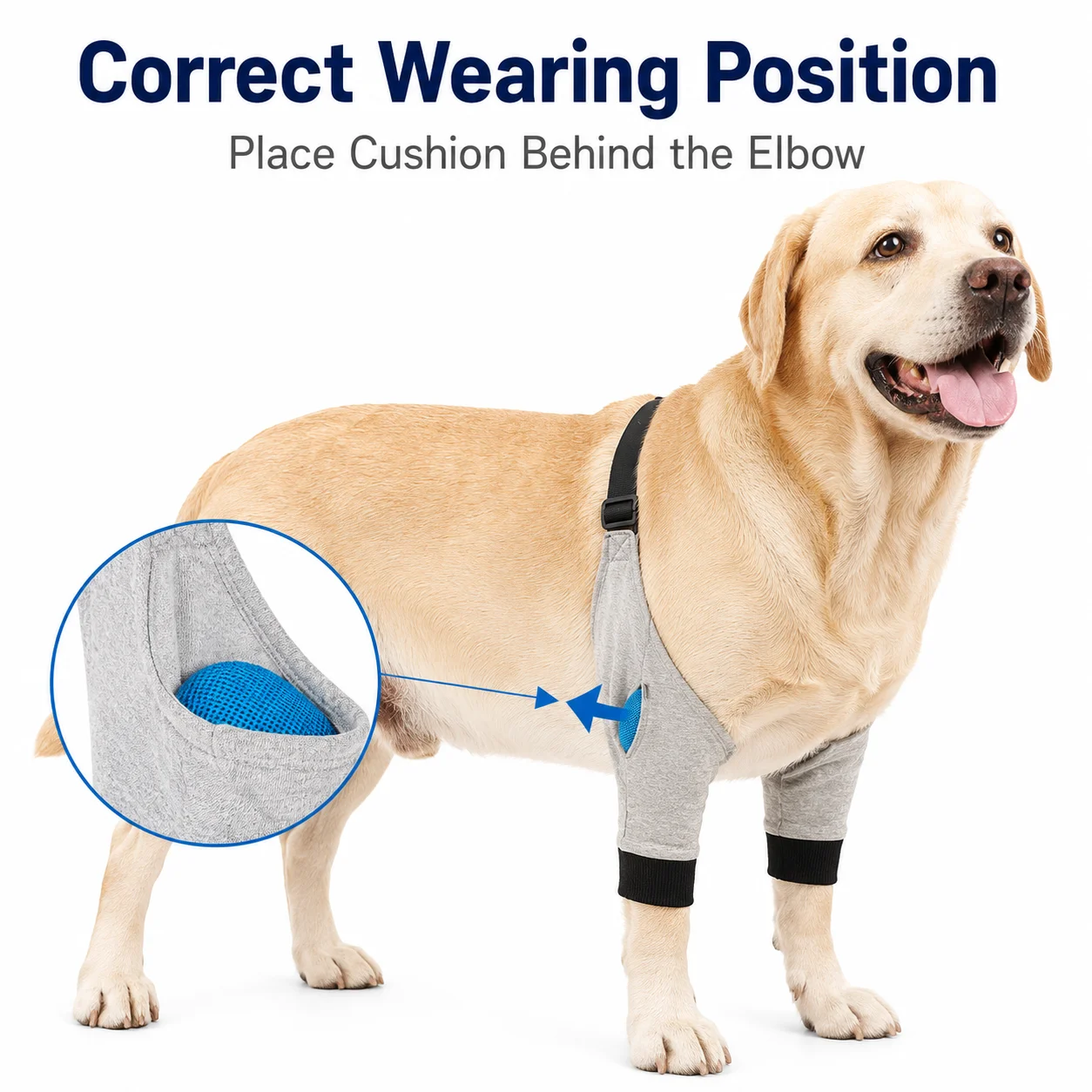 Adjustable Dog Elbow Protector with Padded Mesh Anti-Lick Guard