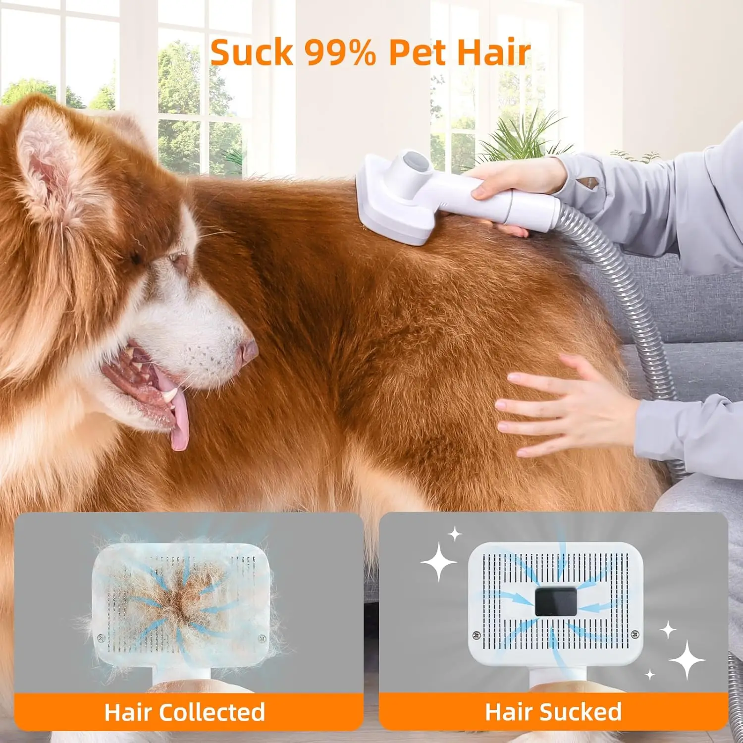 NPET Dog Grooming Kit 6 Grooming Tools Pet Hair Vacuum Suction & Dryer 2 in 1 For Shedding Dogs Cats
