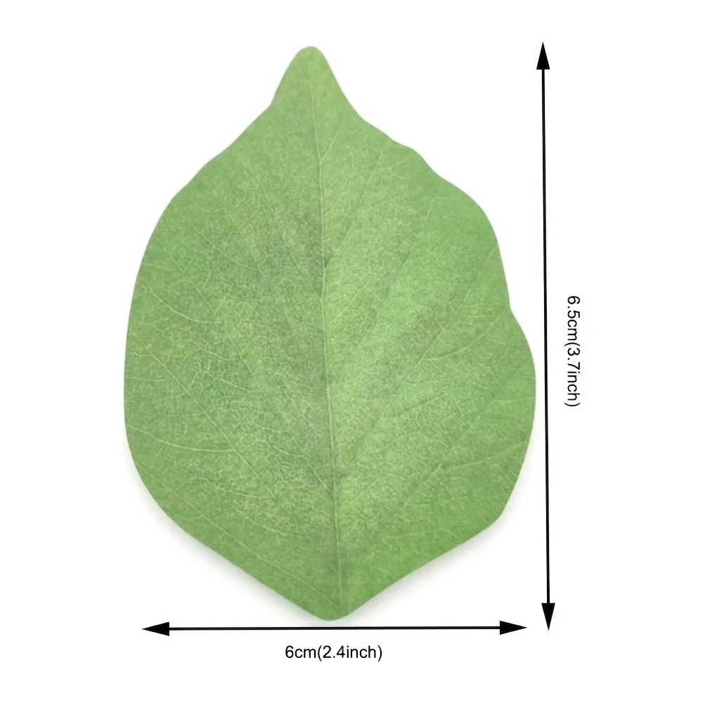 MOHAMM-���� �� ��ƼĿ �޸� �е�, ũ������Ƽ�� ����, �� �� ���, �˸�, �л� ��ǰ, 300 ��