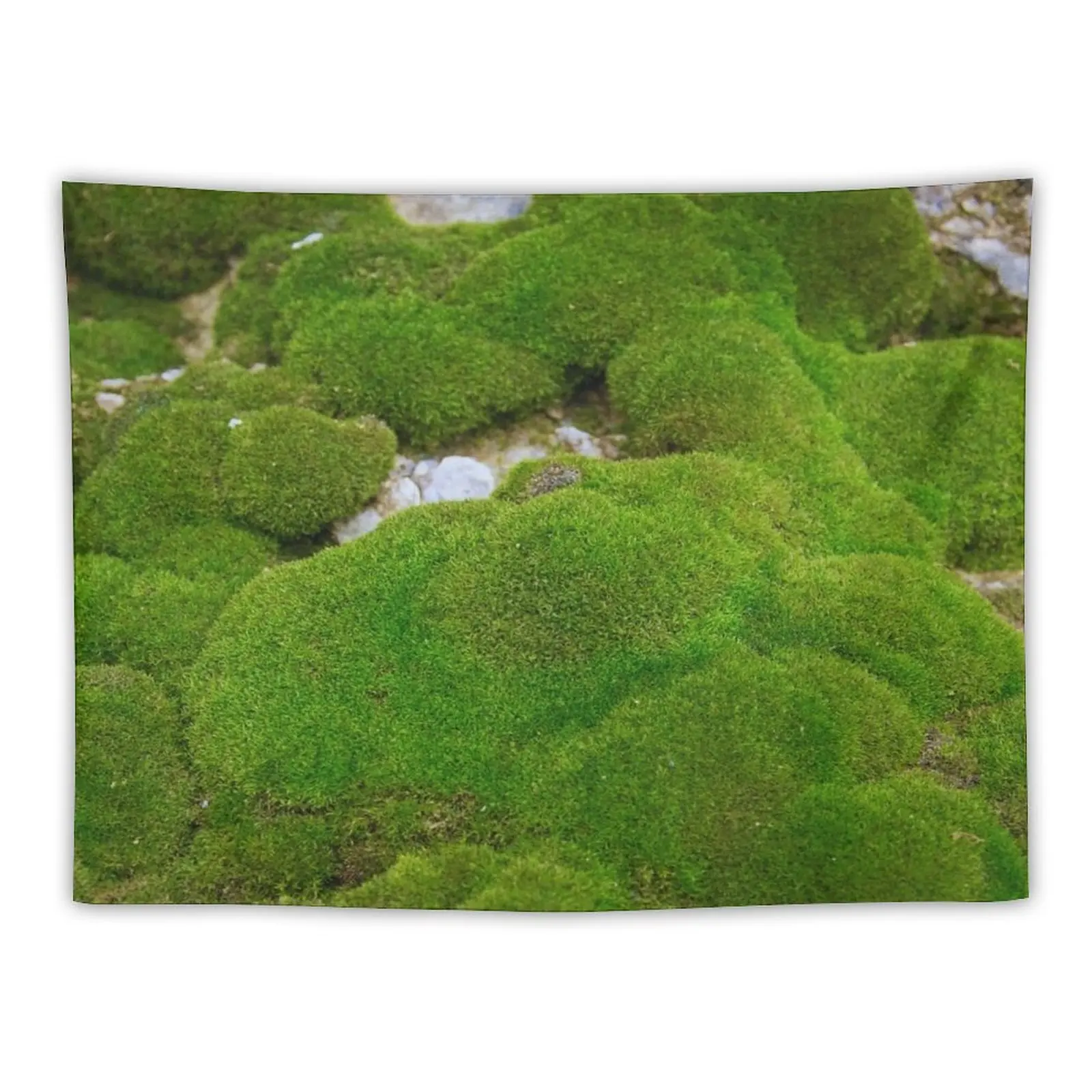 

World of Moss II Tapestry Room Decorations Aesthetics Room Decoration Aesthetic
