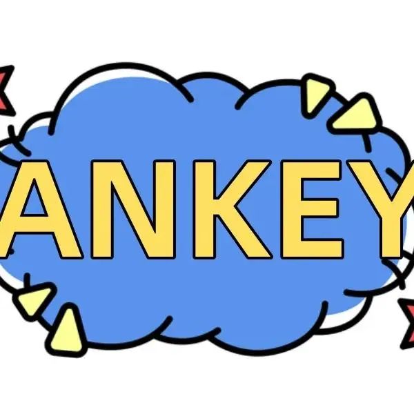 ANKEY Earbuds Case Store