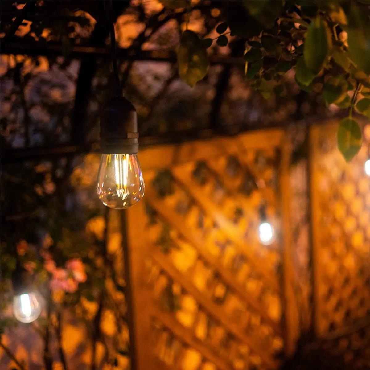 LED  ʶƮ , E27 Ʈ ڹ öƽ , 2700K  , Ƽ ȥ  , S14 ST45