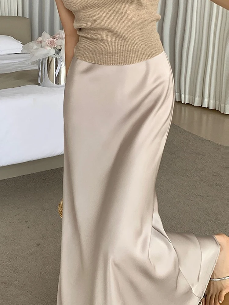 

Spring Summer 2024 Elegant Silk Maxi Skirt Summer Retro Elegant Luxury Champagne Skirt Formal Occasion Commute Skirt Korea Y2k