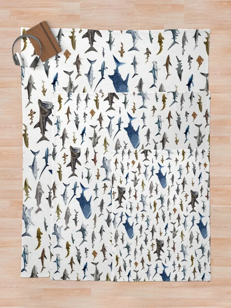 SHARKS ������ ��� ������ ���, ���� ��Ʈ, ���� ���, �ڽ����� �ִϸ��̼� ���, ���� ���