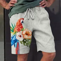 Men's Board Shorts Swim Shorts Swim Trunks Summer Shorts Beach Shorts Drawstring Elastic Waist 3D Print Graphic Animal Cat Breat 1