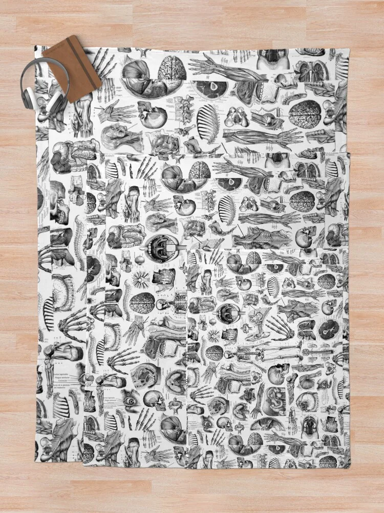 ��ü �غ��� ȭ��Ʈ ����Ʈ ������ ���, ��Ʈ�� ��� ����, �ε巯�� �÷��� ���� ���� ���