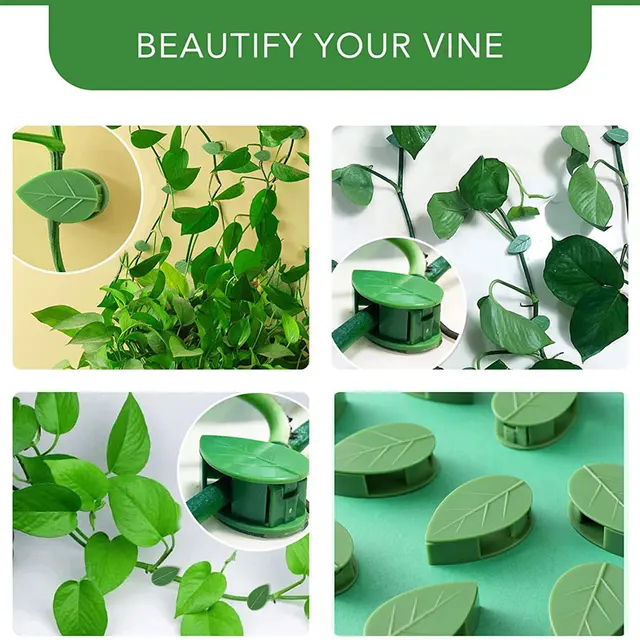 10-30 Darabos Növényi Hegymászó Fali Rögzítő Klipek Akril Matrica Önálló Horog Szőlő Tapadás Tartó Beltéri Kültéri Dekoráció - Image 5
