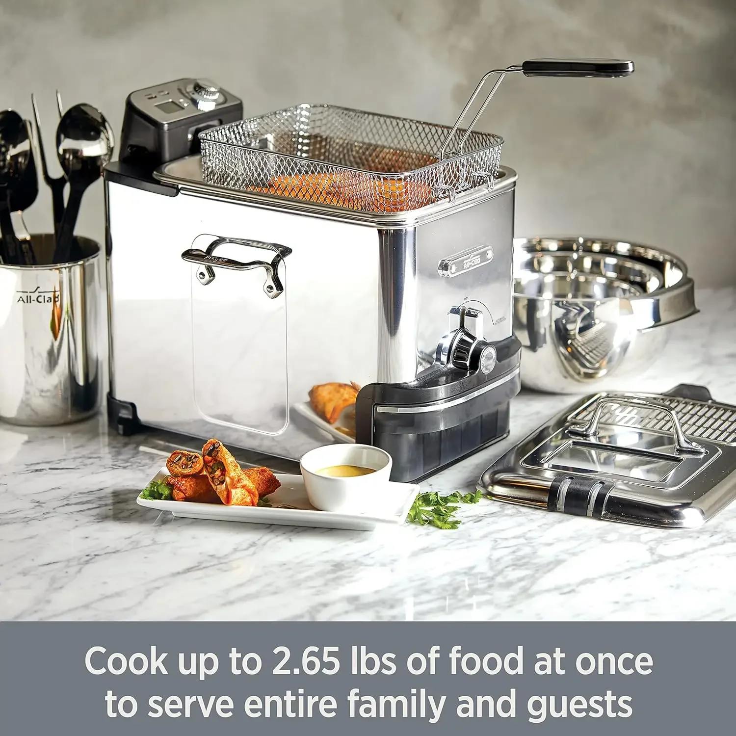 Electrics Stainless Steel Deep Fryer with Basket 3.5 Liter Oil Capacity, 2.6 Pound Food Capacity 1700 Watts Dishwasher 2