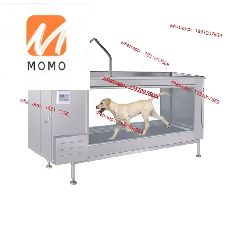 Canine Hydrotherapy Underwater Treadmill For Sale SY-W051 Large