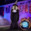 2463-0a496f.jpg JOYFY 72 Animated Halloween Witch with Crystal Ball