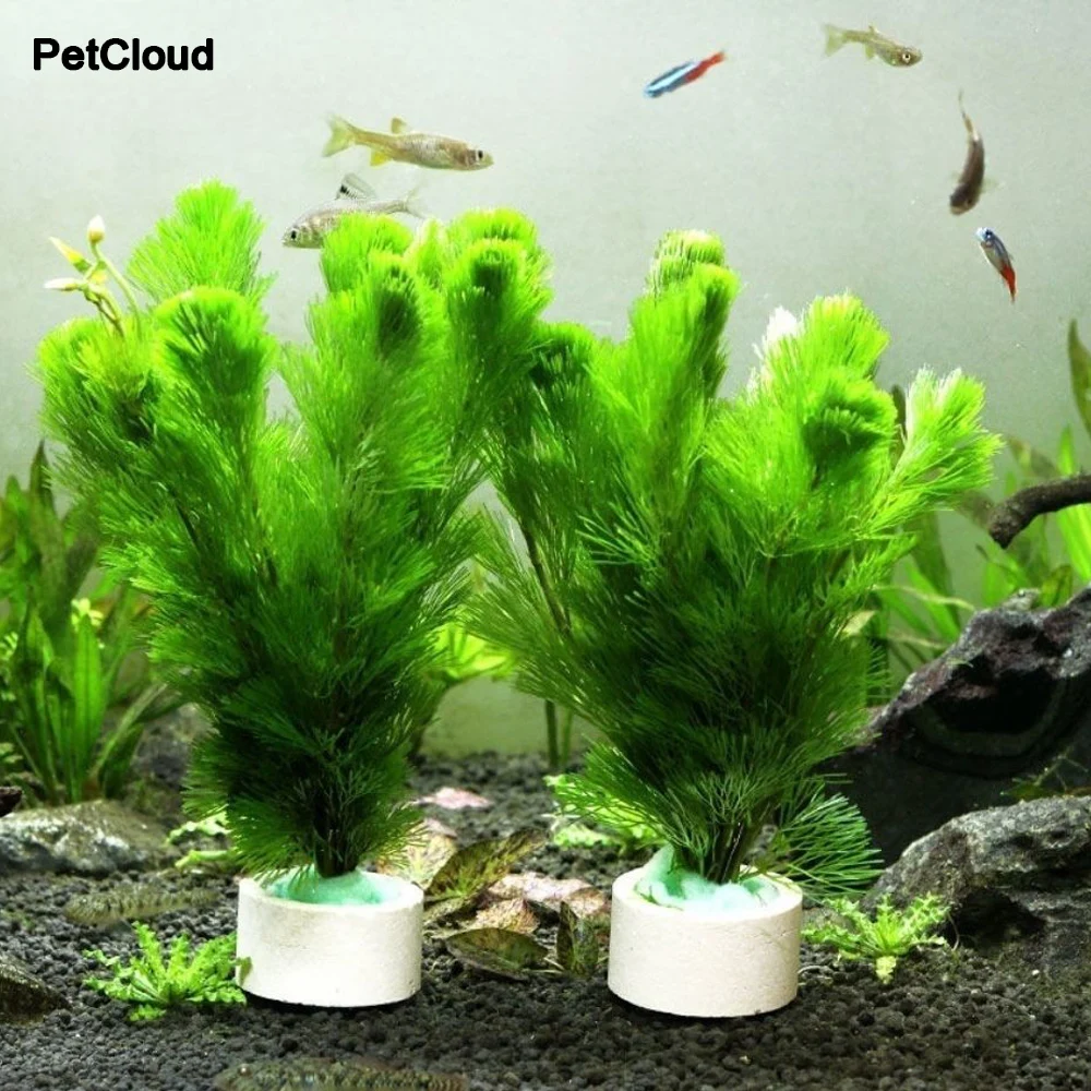 Aquarium Planting Ring For Fish Tank Plant Decoration Ceramic Rings Water Grass Fixed Cup Landscaping DIY Ornamento Supplies