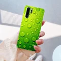 TM2039