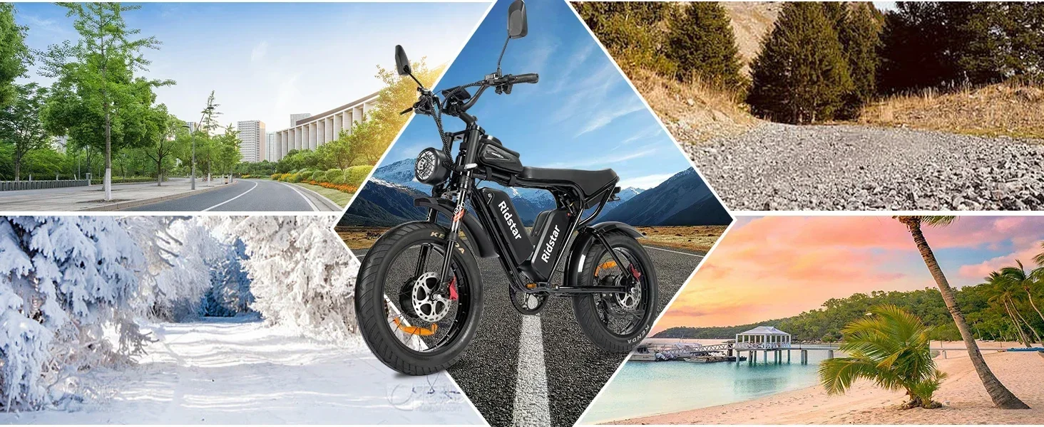 20'' Vélo électrique Double Moteur Vélo électrique Pliant, Tout-Terrain 4.0 Pneu | 48V/17Ah
