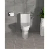 One-Piece Toilet Cyclone Flush Dual Flush 1.1/1.6 GPF Comfort Soft-Close Seat Ivory White, 12" Rough-In, 27.6 x 14.6 x 28.5 1