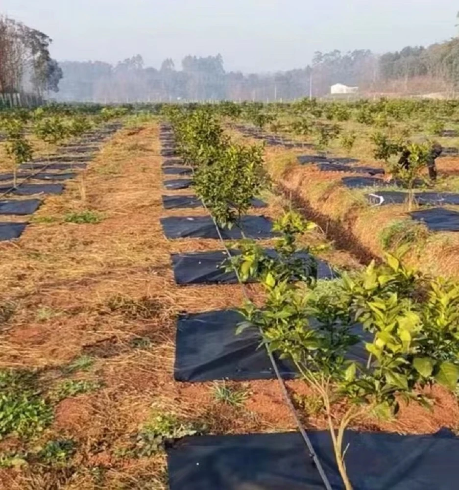 Weed Control Fabric Tree Protection Weeding Mat Thick Greenhouse Water