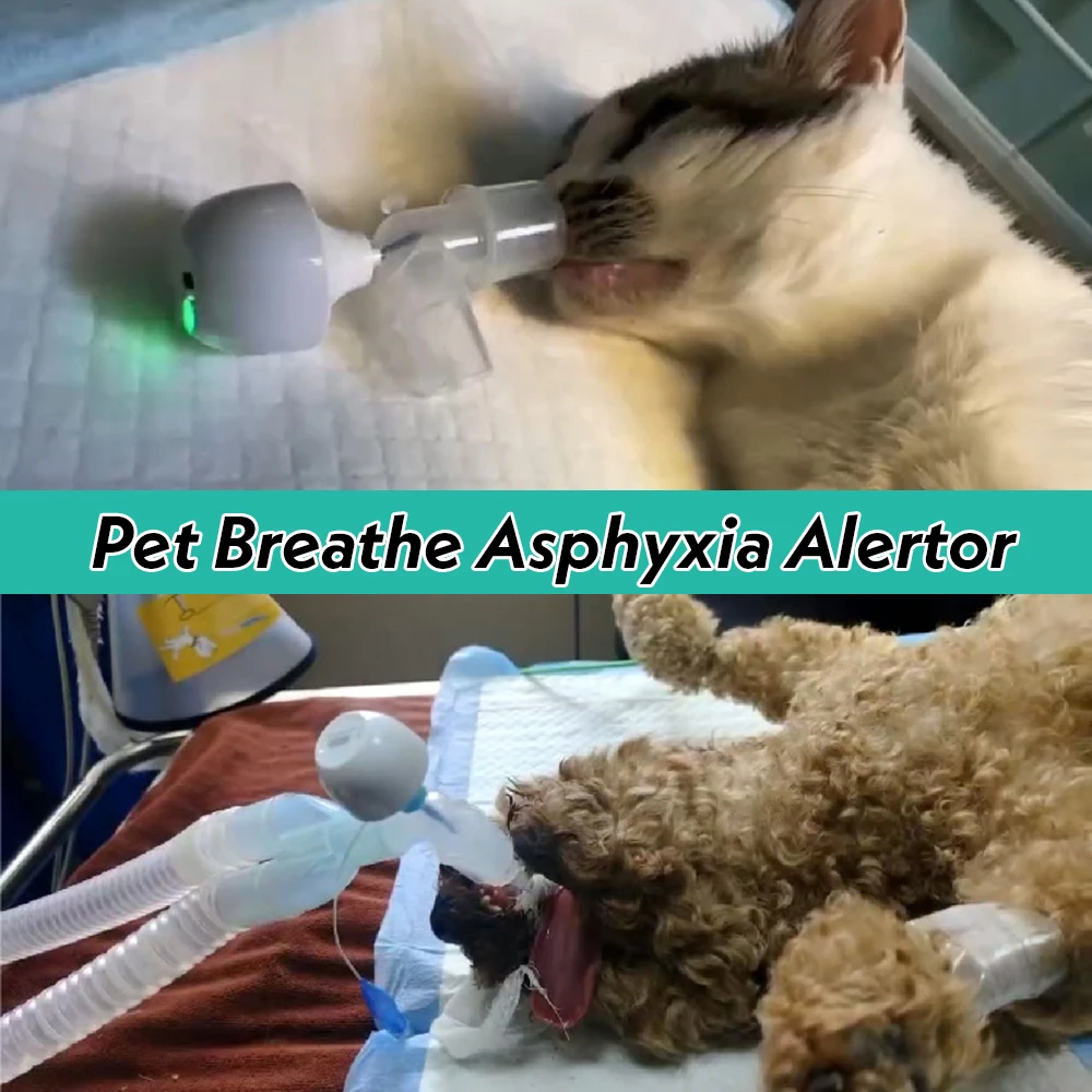 Animal Apnea Sensor Monitor Compact Veterinary Respiratory Alarm for Pet Anesthe