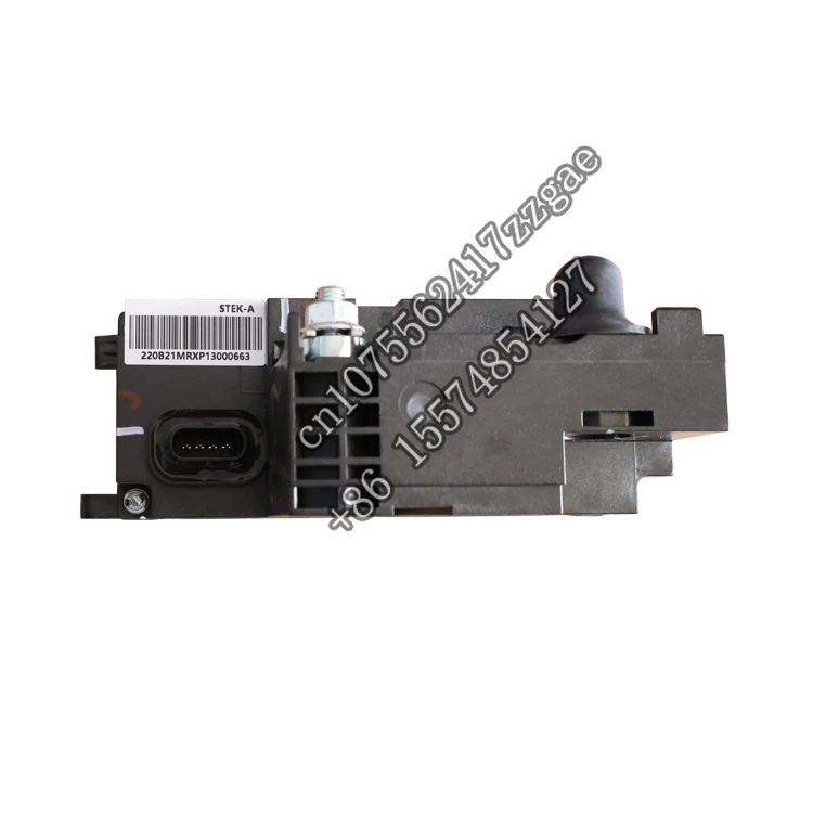 OE STEK-3703030 Good Performance Auto Parts Car Starter Battery For BYD Dolphin Hatchback
