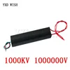 1000KV 1000000V Boost Step up High Voltage Pulse Inverter Arc Generator Ignition Coil Module DC 3-6V 1000 KV Boost Step-Up Power 2
