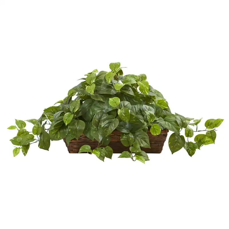 

15" Pothos Artificial Plant with Ledge Basket, Green
