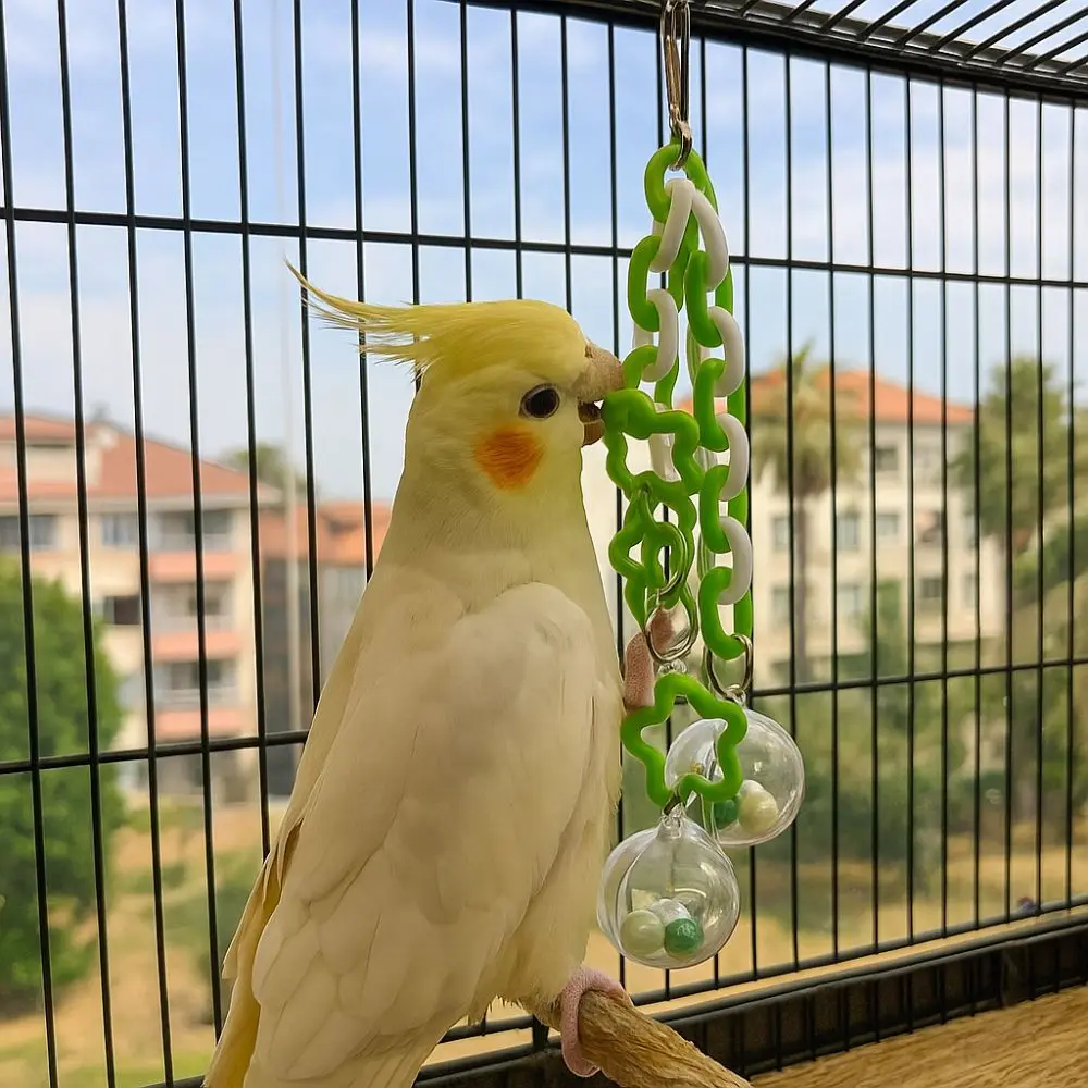 Creative Bite Resistant Parrot Hanging Ball Colorful with Bells Bird Chewing Transparent Ball Birdcage Pendant Interactive