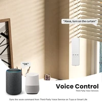 WiFi Tuya Smart Electric Blind Driver Motorised Curtain Chain Roller Timer With RF Remoter Alexa Google Assistant Voice Control - Image 2