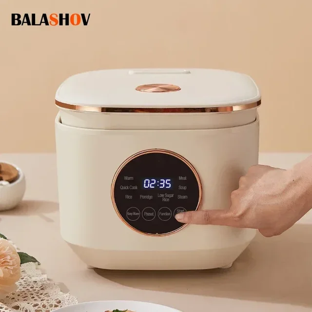 Mini cuiseur à riz multifonction intelligent, cuiseur électrique portable, marmite antiarina, machine de cuisine domestique, 2 à 3 personnes, 5L 1