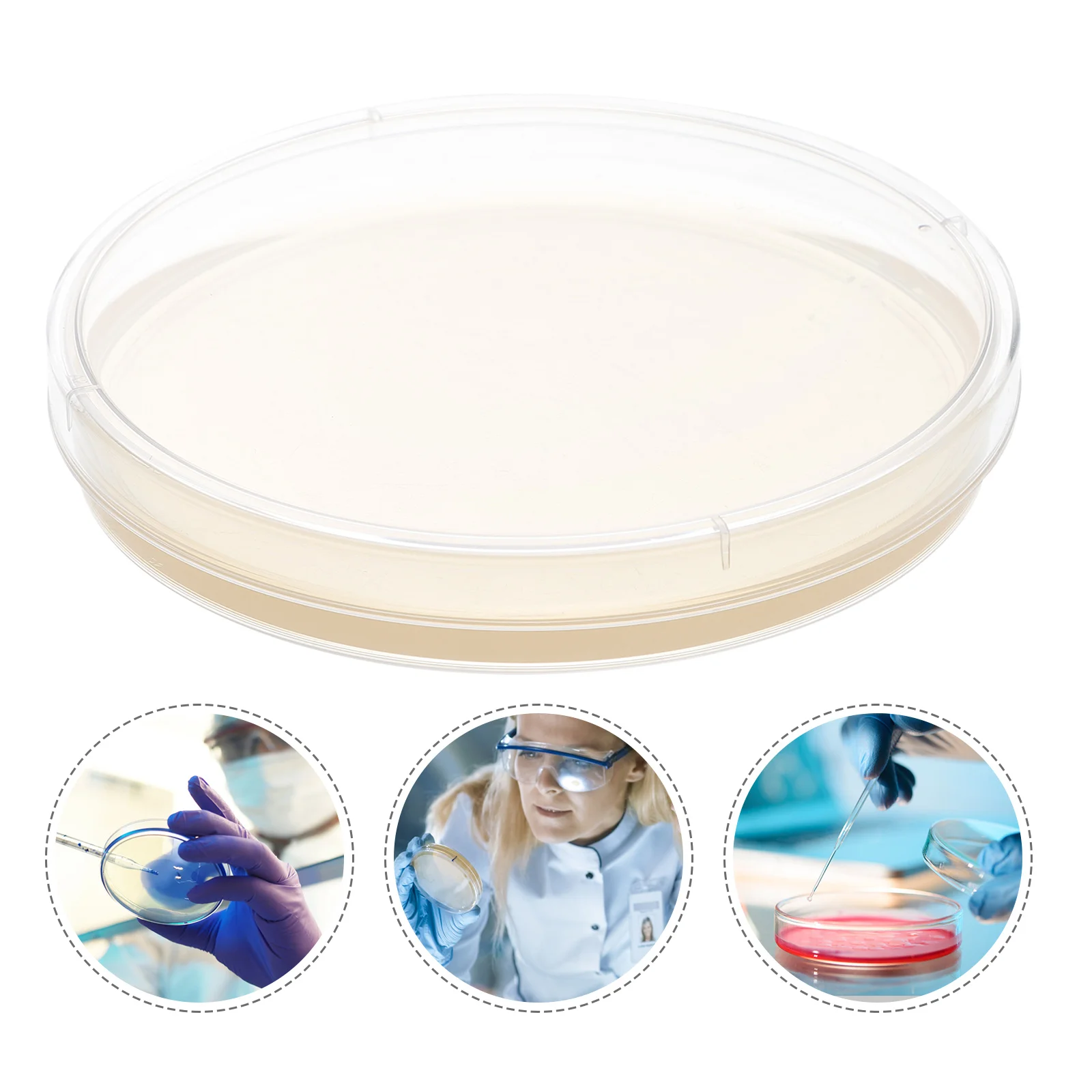 

Nutrient Agar Plate Pre-Poured Plates Petri Labs Tissue Culture Kids Science Fair Project Kit
