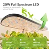 Hydroponics Growing System Kit with 12 Pods