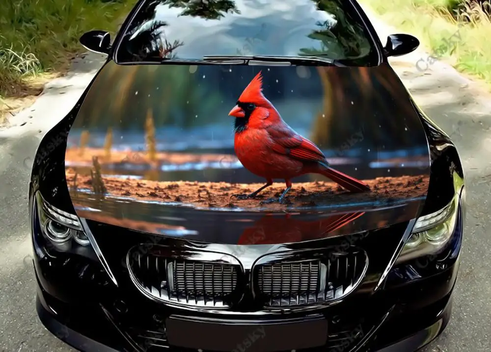 

Красивые стикеры Cardinal Red Birds Наклейка на капот автомобиля для грузовиков, виниловые Стикеры, графические оберточные Стикеры для грузовиков, автомобилей, капота, виниловые