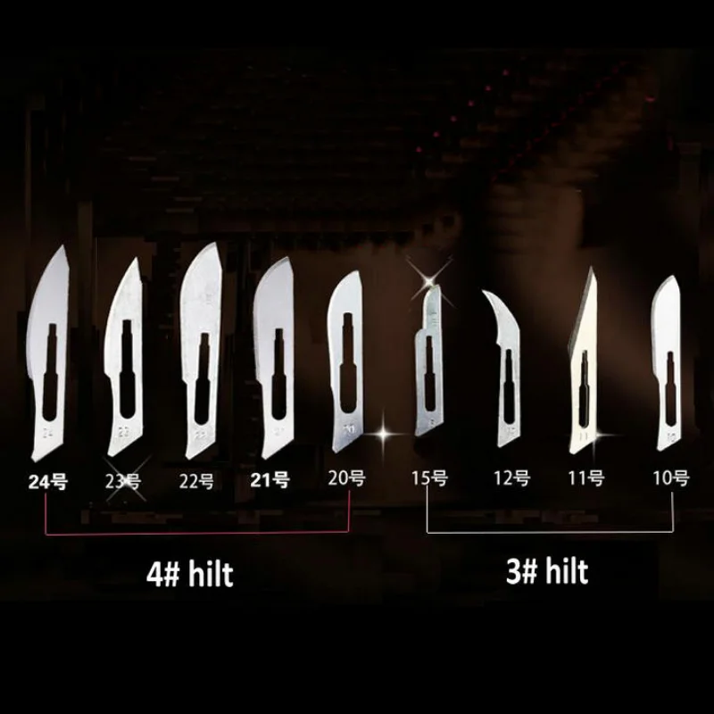 11Pcs/Set Disposable Sterile Animal Surgical Scalpel Knife, Stainless Steel Hilt, Multi-Function Tools(10Pcs Blades With 1 Hilt)