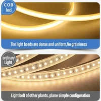 1M-50M 220V COB LED Strip dimmable 360LEDs/m EU Plug Kitchen Home Room Decoration Flexible Ribbon for Outdoor Garden Lighting - Image 5